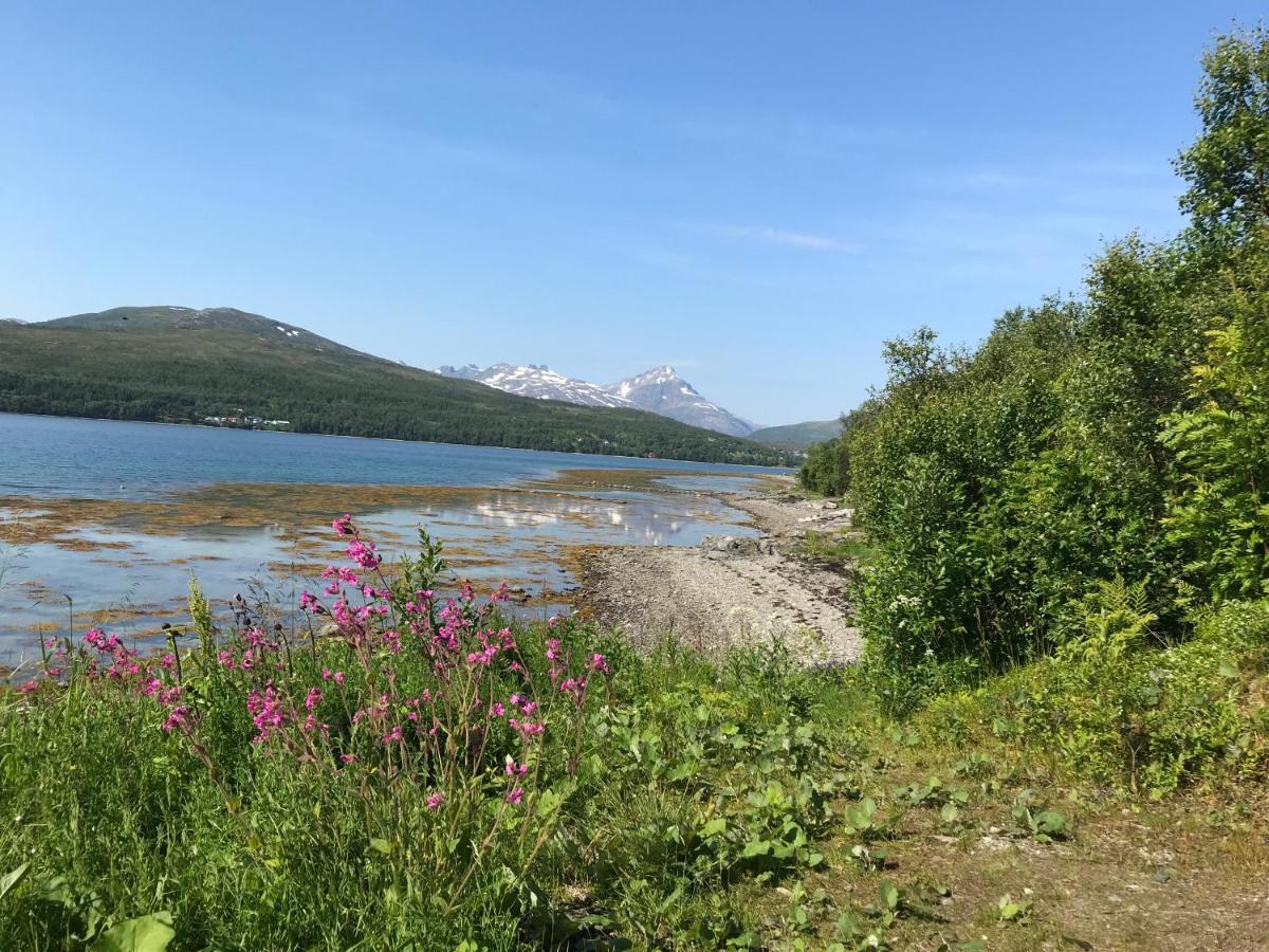 Hakoyveien 151, Tromso Ξενοδοχείο Εξωτερικό φωτογραφία